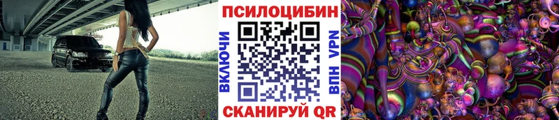 как найти закладки  Грозный  omg ссылки  Галлюциногенные грибы Magic Shrooms 